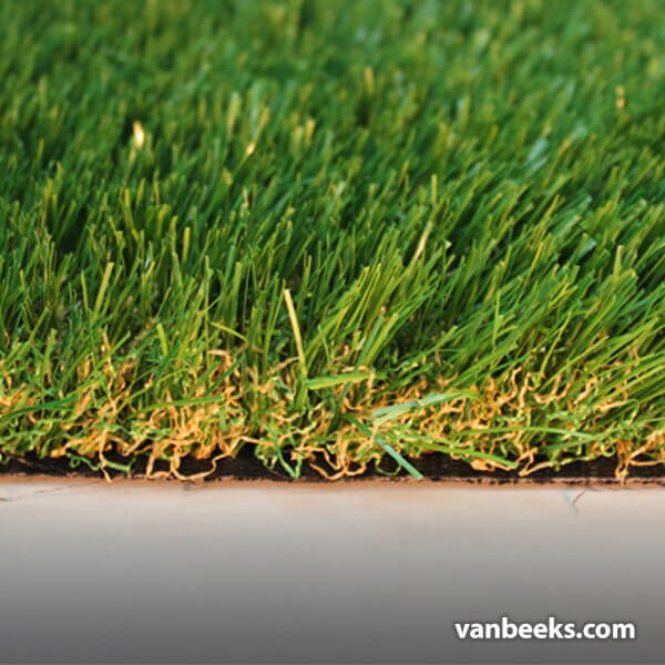 AGL Saratoga 60 Turf Preview